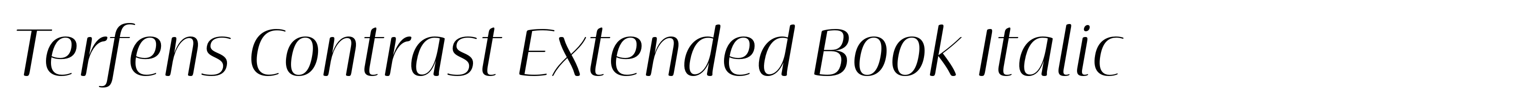 Terfens Contrast Extended Book Italic